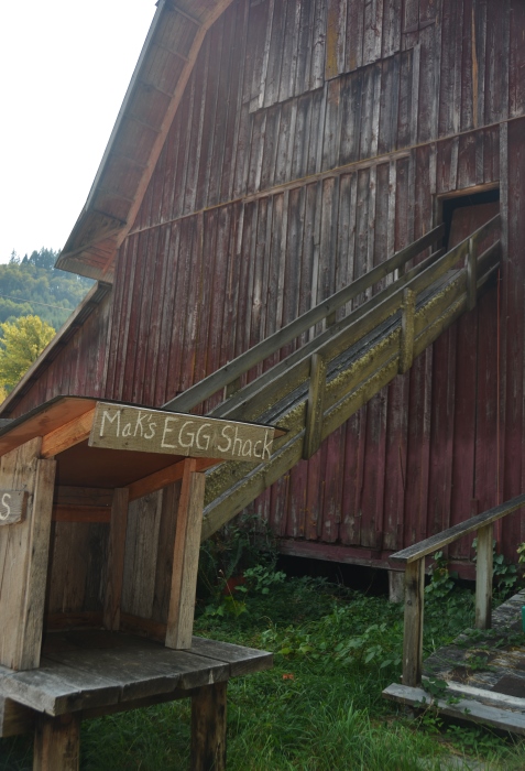 old barn with egg shack
